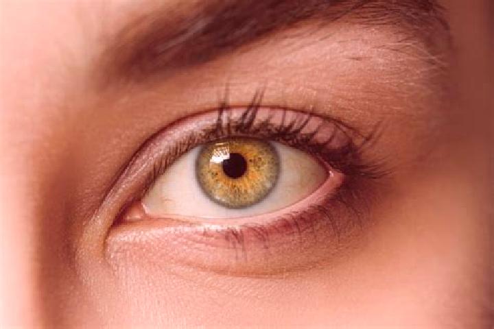 Rose, 35, a chestnut hazel-eyed mixed companion based in Churchill. Offering OWO, Tantra, Fetish. Available for incall and outcall, day and evening dates.
