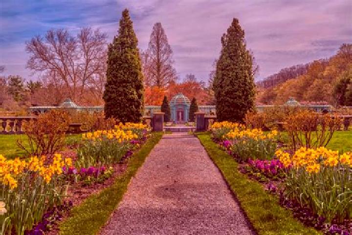 Rose, 35 — Escort in Brander Gardens, Canada