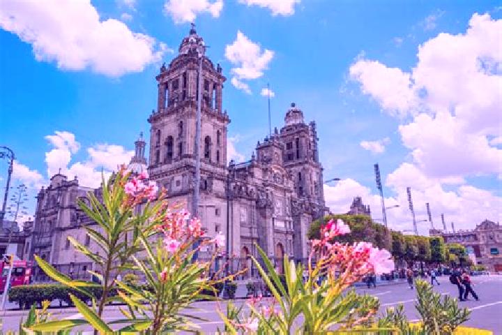 Rose, 35 — Escort in Calzadas, Mexico