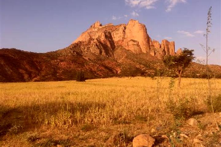 Rose, 35 — Escort in Goba, Ethiopia