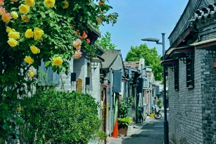 Rose, 35 — Escort in Hayan Hudong, China