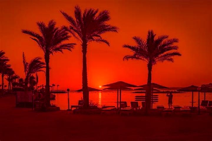 Rose, 35 — Escort in Hurghada, Egypt