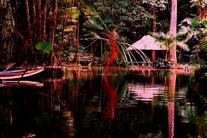 Rose, 35 — Escort in Lago dos Rodrigues, Brazil