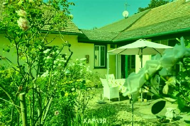 Rose, 35 — Escort in Ringelsdorf, Austria