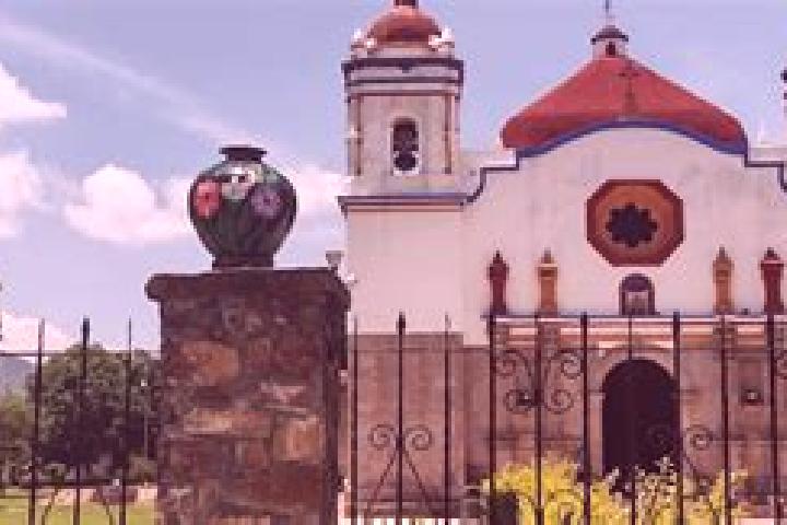 Rose, 35 — Escort in San Bartolo Tutotepec, Mexico