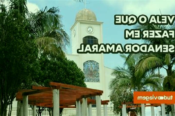 Rose, 35 — Escort in Senador Amaral, Brazil