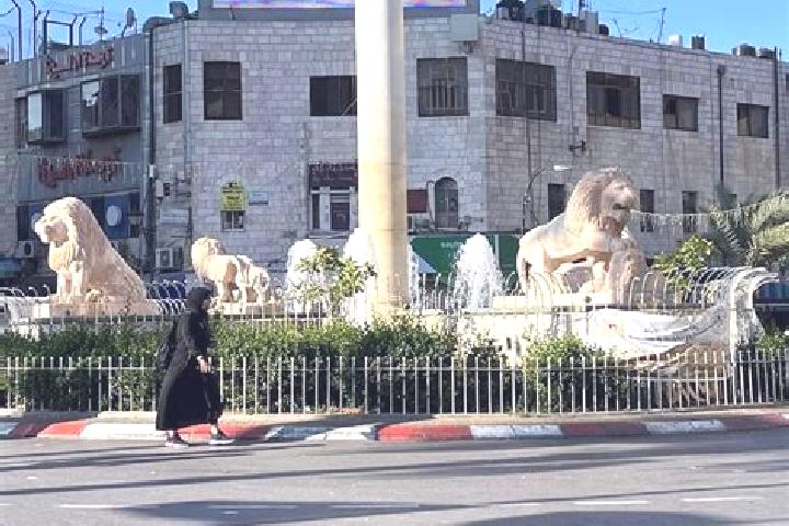 Rose, 35 — Escort in Suseya, Palestine