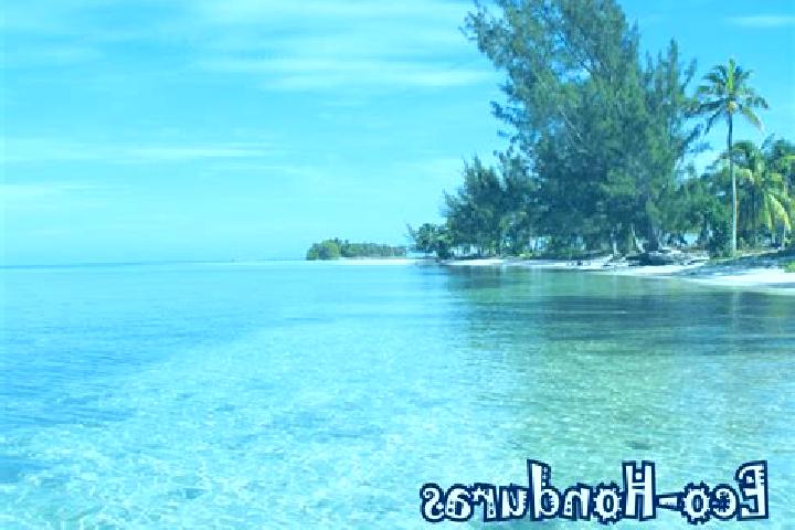 Rose, 35 — Escort in Teguajinal, Honduras