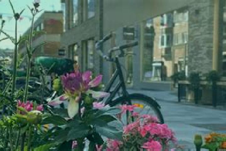 Rose, 35 — Escort in Vaestra Froelunda, Sweden