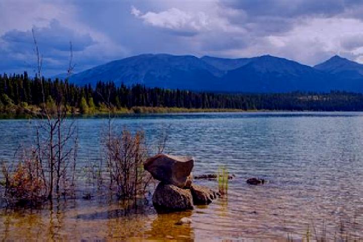 Rose, 35 — Escort in Watson Lake, Canada