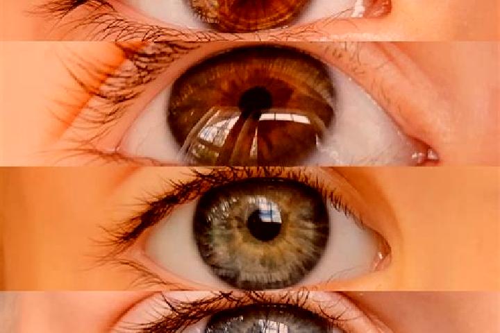 Rose, 36, a chestnut dark-eyed mixed companion based in Iguai. Offering Erotic Massage, Tantra, Domination. Available for incall and outcall, overnight booki...