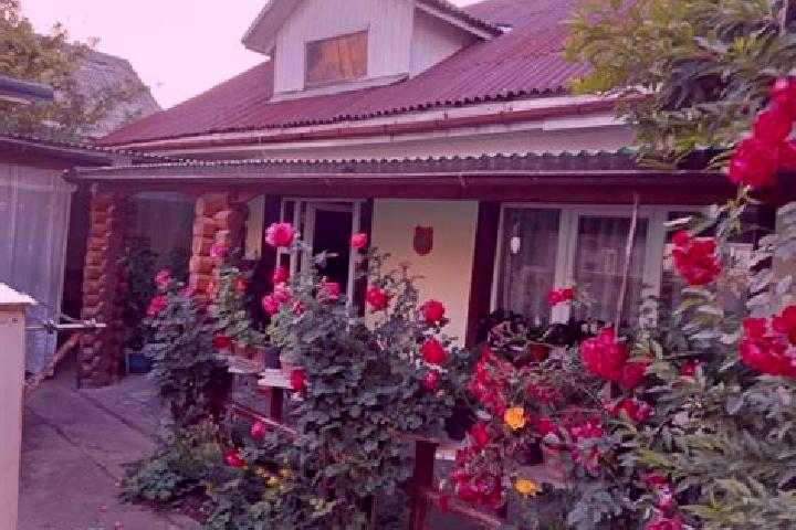 Rose, 36, a red green-eyed slavic companion based in Sighetu Marmatiei. Offering Dinner Date, Tantra, Party Girl, Fetish. Available for incall and outcall, o...