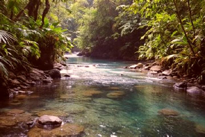 Rose, 36 — Escort in Agua Santa del Yuna, Dominican Republic