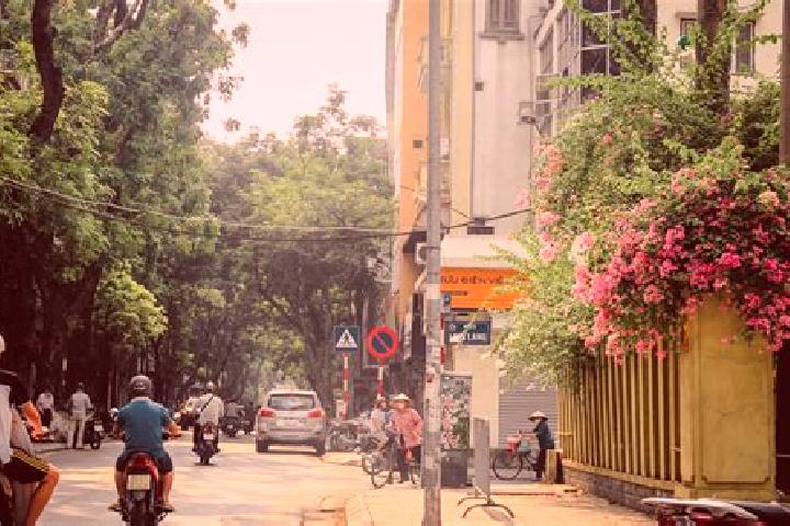 Rose, 36 — Escort in Cau Giay, Vietnam