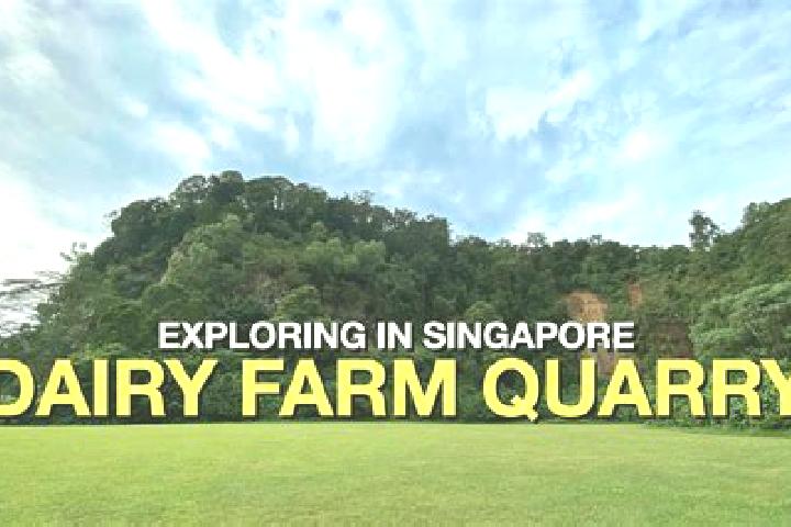 Rose, 36 — Escort in Dairy Farm, Singapore