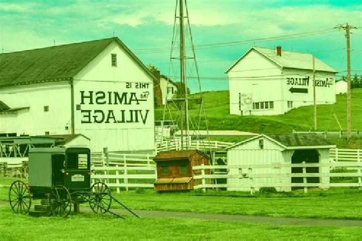 Rose, 36 — Escort in Hamersville, United States