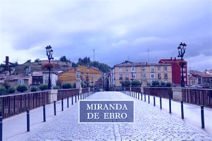 Rose, 36 — Escort in Miranda de Arga, Spain