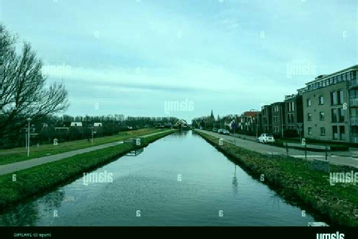 Rose, 36 — Escort in Nieuwerkerk, Netherlands