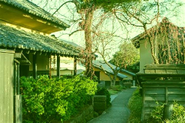 Rose, 36 — Escort in Obuse, Japan