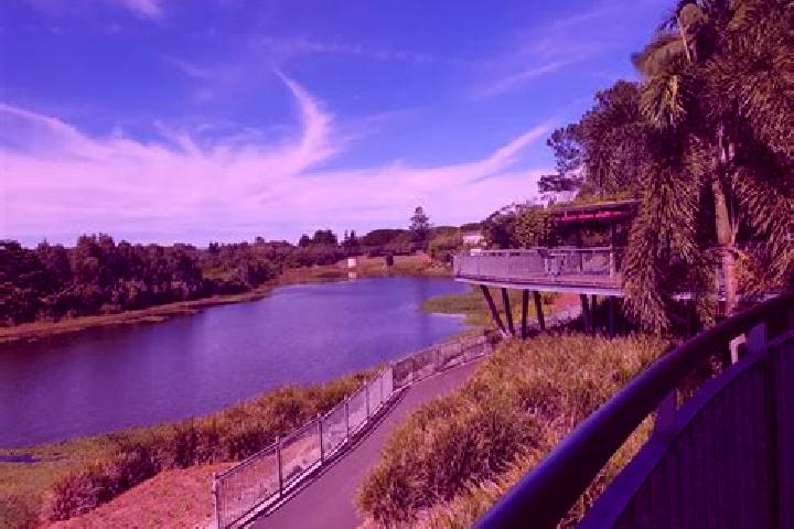Rose, 36 — Escort in West Mackay, Australia