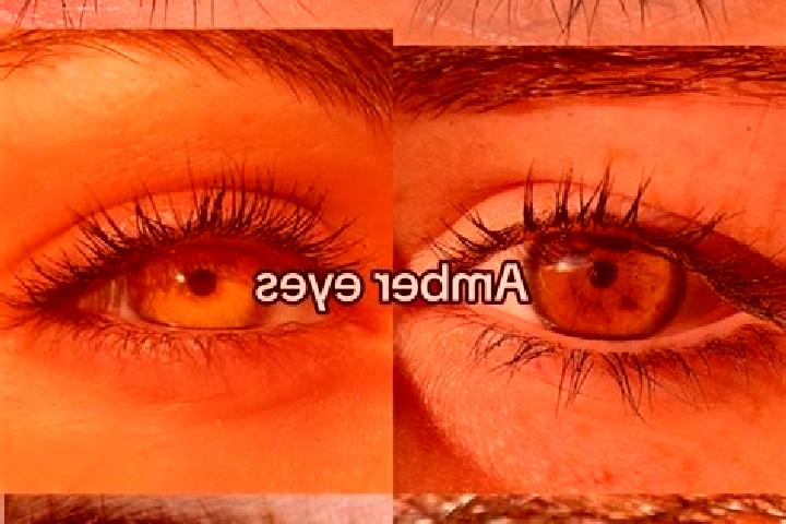 Rose, 37, a chestnut amber-eyed indian companion based in Altendorf. Offering Girlfriend Experience, Domination, Overnight, Tantra, Dinner Date. Available fo...