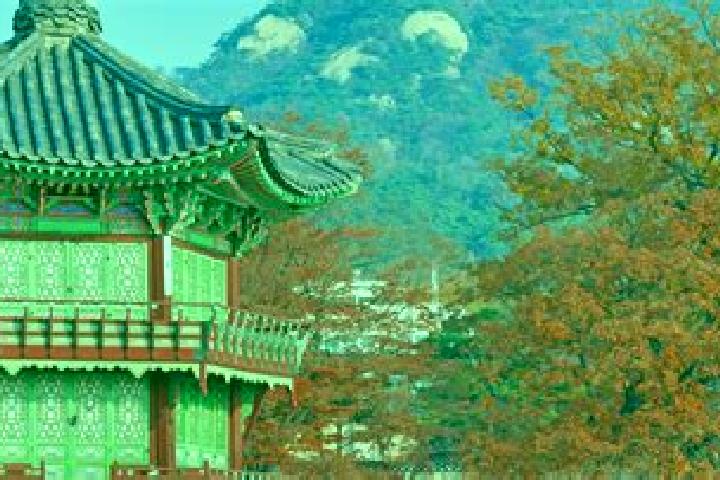Rose, 37 — Escort in Cheongju-si, South Korea