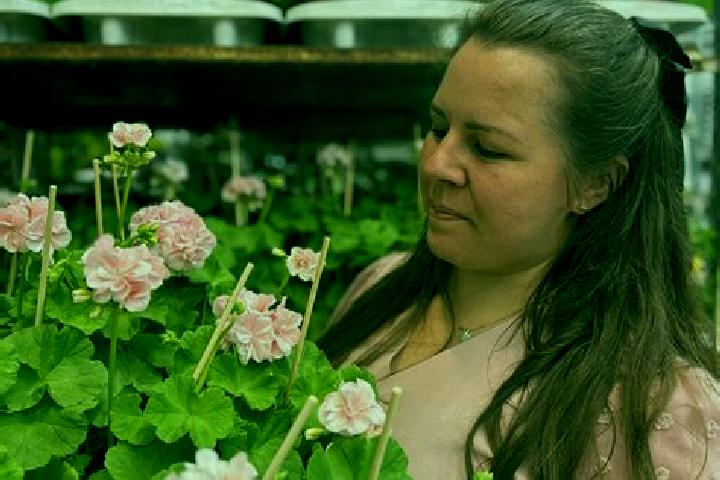 Rose, 37 — Escort in Djuras, Sweden