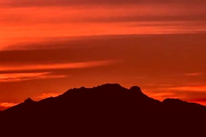 Rose, 37 — Escort in El Cerro de la Sauceda, Mexico
