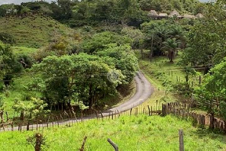 Rose, 37 — Escort in Lajas de Tole, Panama