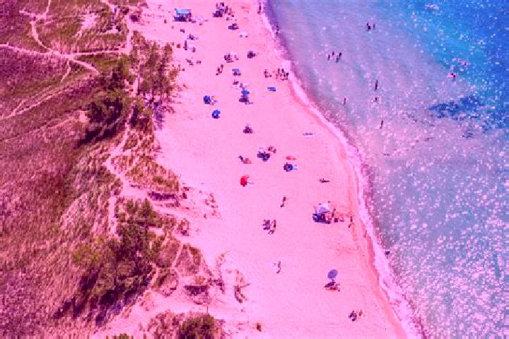 Rose, 37 — Escort in Lake Michigan Beach, United States