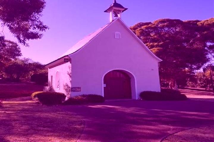 Rose, 37 — Escort in Mount Nasura, Australia