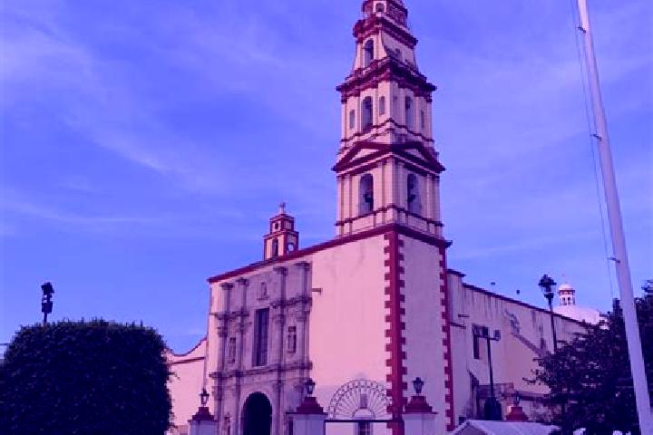 Rose, 37 — Escort in Rincon del Cano, Mexico