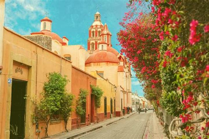 Rose, 37 — Escort in San Jose el Alto, Mexico