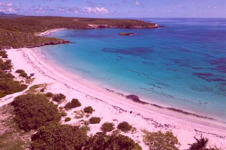 Rose, 37 — Escort in Vieques, Puerto Rico