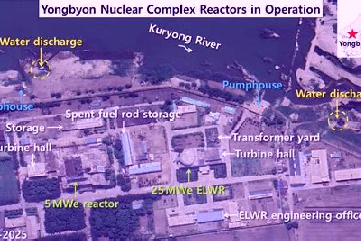 Rose, 37 — Escort in Yongbyon, North Korea
