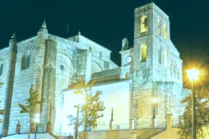 Rose, 38 — Escort in Cazalla de la Sierra, Spain