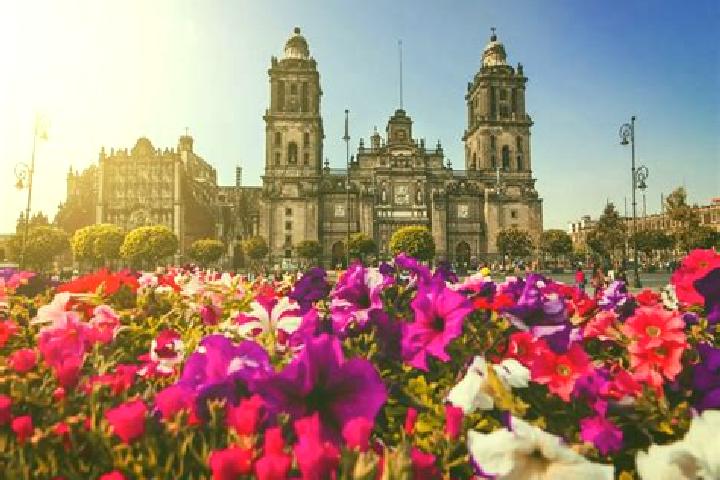 Rose, 38 — Escort in Ciudad Tula, Mexico