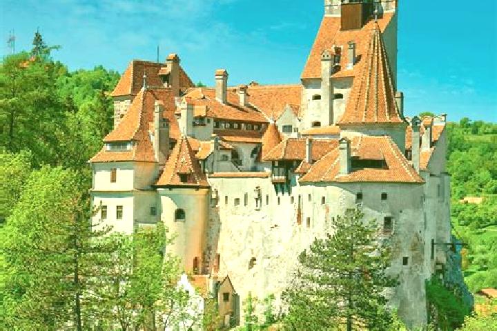 Rose, 38 — Escort in Ciuperceni, Romania