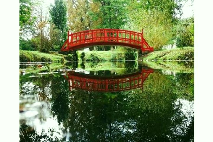 Rose, 38 — Escort in Couilly-Pont-aux-Dames, France