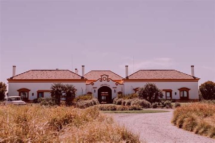 Rose, 38 — Escort in La Estancia de Ayones, Mexico