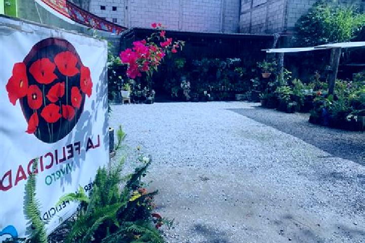 Rose, 38 — Escort in Oriente 2da. Seccion (Palma Huaca), Mexico