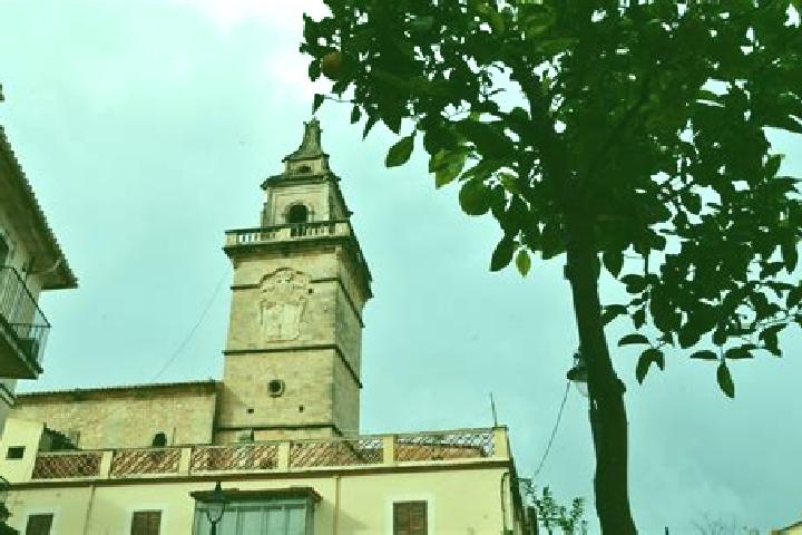 Rose, 38 — Escort in Santa Maria del Cami, Spain