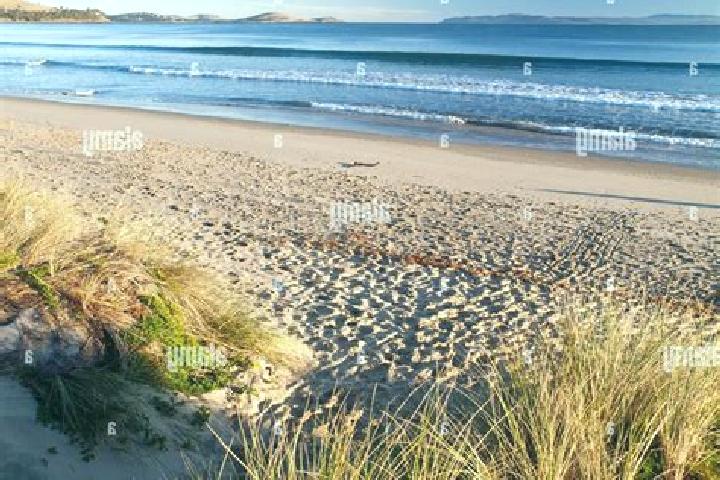 Rose, 38 — Escort in Seven Mile Beach, Australia