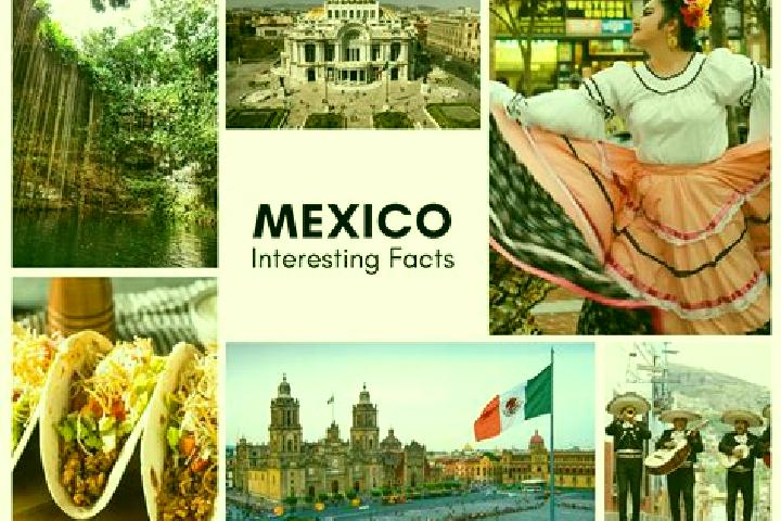 Rose, 38 — Escort in Tarejero, Mexico