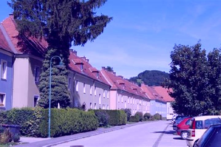 Rose, 38 — Escort in Traisen, Austria
