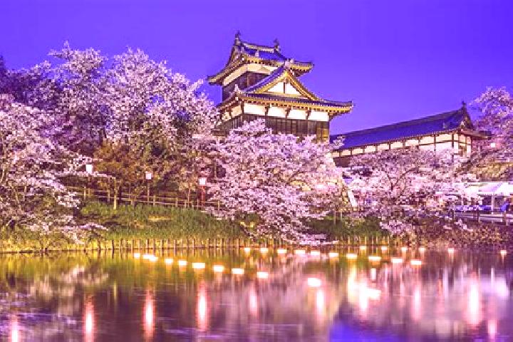 Rose, 38 — Escort in Yamatokoriyama, Japan