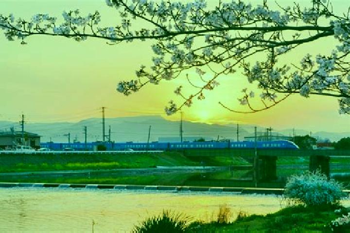 Rose, 38 — Escort in Yukuhashi, Japan