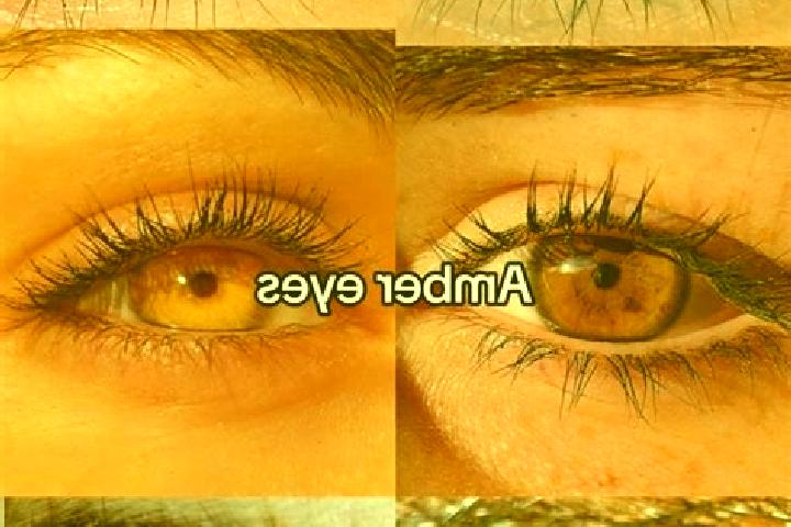 Rose, 39, a chestnut amber-eyed indian companion based in Pakuniran. Offering Erotic Massage, Striptease, Duos, Prostate Massage. Available for incall and ou...