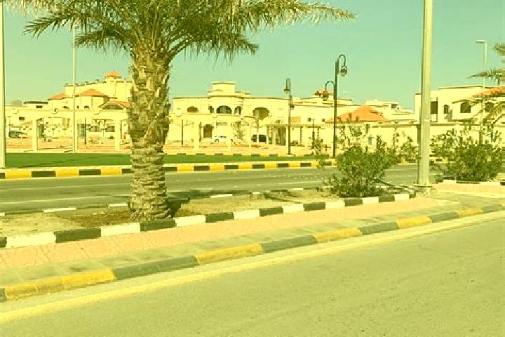 Rose, 39 — Escort in Al Khafji, Saudi Arabia