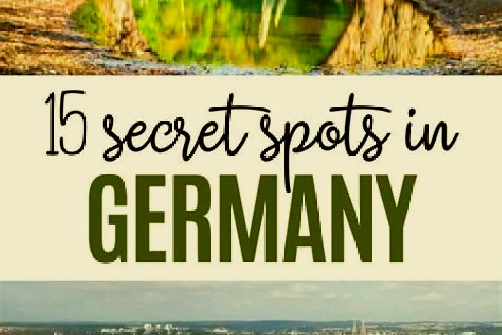 Rose, 39 — Escort in Bliesdorf, Germany